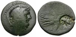 Ancient Coins - Pisidia. Termessos Major Æ23 / Bee Counterstamp