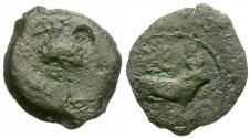 Ancient Coins - Caligula? (AD 37-41). Egypt. Alexandria Æ Dichalkon / Ibis and Bull