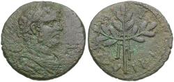 Ancient Coins - Caracalla (AD 198-217). Caria. Alabanda Æ26 / Laurel Branch