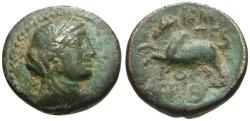 Ancient Coins - Phoenicia. Arados Æ19 / Humped Bull