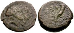 Ancient Coins - Phoenicia. Akko-Ptolemais Æ16 / Cornucopia