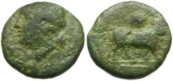 Ancient Coins - Campania. Neapolis. Symbol Series Æ16 / Man-Headed Bull