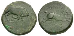 Ancient Coins - Apulia. Arpi Æ20 / Bull & Horse