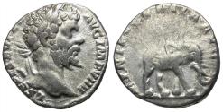 Ancient Coins - Septimius Severus (AD 193-211) AR Denarius / Elephant