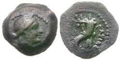 Ancient Coins - Ptolemaic Kings of Egypt. Small Cypriote Bronzes &AElig; Chalkous