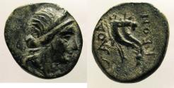 Ancient Coins - Phrygia, Laodikeia: Foundress, Double cornucopia reverse