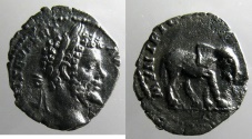 Ancient Coins - Semptimius Severus: Denarius, Elephant reverse