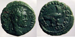 Ancient Coins - Septimius Severus: Moesia Inferior, Eagle standing right reverse