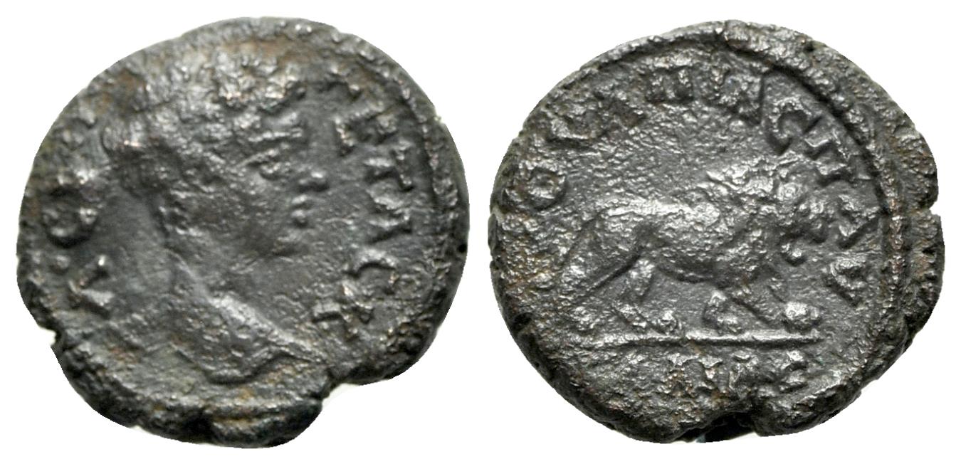 Ancient Coins - Geta (Caesar, 198-209). Thrace, Pautalia. Æ - R/ Lion