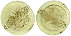 Ancient Coins - BYZANTINE EMPIRE, circa 6th century AD. Glass Weight of 1 Semissis.  Uncertain, city prefect (eparch). Chi-Rho.