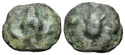 Ancient Coins - ITALY Apulia, Luceria (circa 217-212 BC). Æ Uncia. Frog / Barley-ear