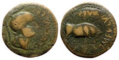 Ancient Coins - Spain, Celsa. Pseudo-autonomous issue, c. 44/2-36/5 BC. Æ As