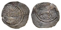 Ancient Coins - Arab-Sasanian: al-Hajjaj b. Yusuf (694-713), Æ Pashiz. Facing portrait R/ Horse VERY RARE