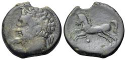 Ancient Coins - Kings of Numidia. Micipsa (148-118 BC). Æ Unit.  R/ HORSE
