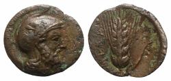 Ancient Coins - Southern Lucania, Metapontion, c. 425-350 BC. Æ