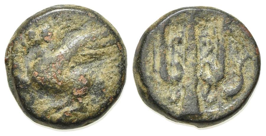 Corinth C 306 303 Ae 12mm Pegasos R Ornate Trident