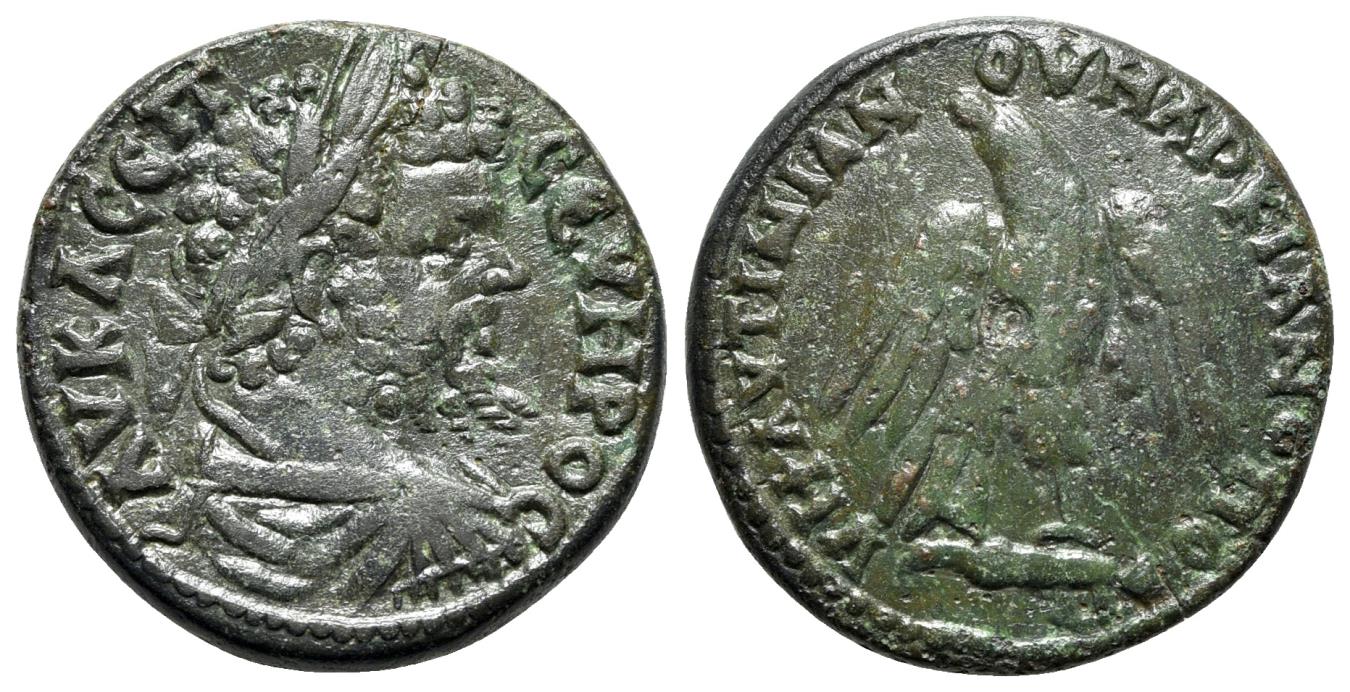 Septimius Severus (193-211). Moesia Inferior, Marcianopolis. Æ - R/ Eagle