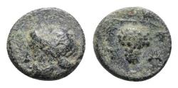 Ancient Coins - Aeolis, Temnos, 3rd century BC. Æ 10mm. Bearded head of Dionysos R/ Grape bunch on vine