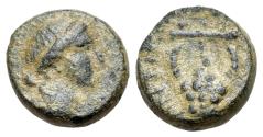 Ancient Coins - Seleucis and Pieria, Antioch. Civic issue. Æ 13mm Bust of Apollo R/ Lyre.