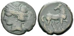 Ancient Coins - The Carthaginians in Sicily and North Africa, Sardinia Shekel circa 264-241, Æ 21mm  TANIT / HORSE