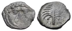 Ancient Coins - Sicily, Motya, c. 415/10-397 BC. AR Litra. Gorgoneion. R/ Palm tree. RARE