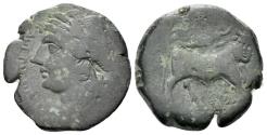 Ancient Coins - ITALY. Campania , Compulteria (circa 265-240 BC.) Æ 19mm R/ Man-headed bull RARE