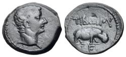 Ancient Coins - EGYPT, Alexandria. Tiberius. AD 14-37. Æ Obol. Dated RY 5 (AD 18/9). R/ HIPPOPOTAMUS