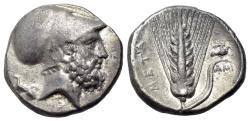 Ancient Coins - ITALY. Southern Lucania, Metapontion, c. 340-330 BC. AR Stater. Ami-, magistrate. Helmeted head of Leukippos R/ Barley ear of seven grains