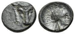 Ancient Coins - Phokis, Elateia. Early 2nd century BC. Æ 18mm.  Head of bull facing