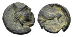 Ancient Coins - TAURIC CHERSONESOS, Tamyrake. Circa 380-370 BC. Æ 9mm. Head of Kabeiros  R/ LION - RARE