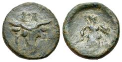 Ancient Coins - Phokis, Elateia. civic issue. ca. 3rd-2nd centuries BC. Æ 19mm. Head of bull R/Athena Promachos