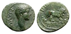Ancient Coins - Geta (209-211). Moesia Inferior, Nicopolis ad Istrum. Æ - R/ Lion