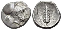 Ancient Coins - Italy, Lucania. Metapontion, c. 340-330 BC. Nomos. Helmeted head of Leukippos. R/META. Barley grain, with ear to left; upright club above leaf, AMI below leaf.
