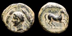 Ancient Coins - Carthaginians, bronze half calco. Carthago, ca. 350 B.C. - Tanit between two wheat spikes./ Horse.