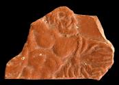 Ancient Coins - Roman North Africa, nice redware Terra Sigillata fragment. Depicting Hercules.