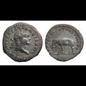 Ancient Coins - Titus - denarius Elephant! (JUN2623)