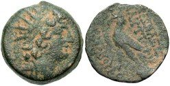 Ancient Coins - Seleukid Kingdom. Antiochos VIII. 121-96 B.C. Æ 19 mm. Near VF.