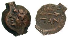 Ancient Coins - Tauric Chersonesos, Pantikapaion. Ca. 304-250 B.C. AE 20.