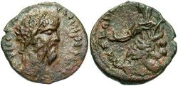 Ancient Coins - Decapolis, Petra. Septimius Severus. A.D. 193-211. ’ 23 mm. Good VF, brown patina.
