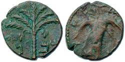 Ancient Coins - Judaea, Bar Kochba Revolt. Æ Medium Bronze (11.18 g), AD 132-135 Undated, attributed to year 3 (134/5 CE).