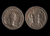 Ancient Coins - Gallienus Ae Antoninianus, 255-256 AD
