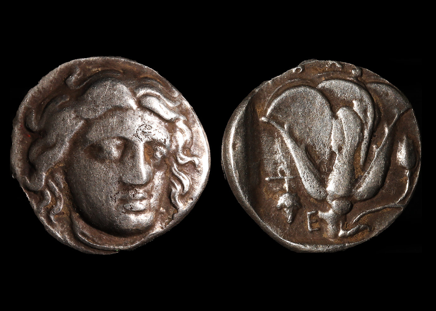 Rhodes ar didrachm greek coins